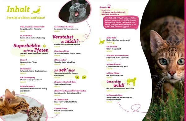 Produktbild: WAS IST WAS Katzen. Eigenwillige Schnurrer