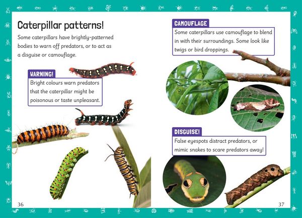 Produktbild: Insect Maths