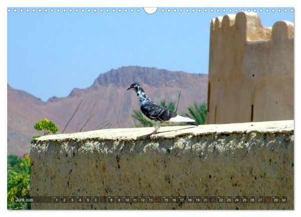 Produktbild: Oman - Eine Bilder-Reise (Wandkalender 2026 DIN A3 quer), CALVENDO Monatskalender