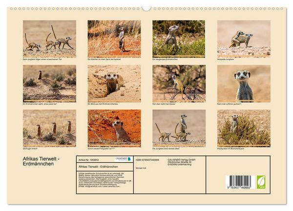 Produktbild: Afrikas Tierwelt - Erdm&auml;nnchen (hochwertiger Premium Wandkalender 2026 DIN A2 quer), Kunstdruck in Hochglanz