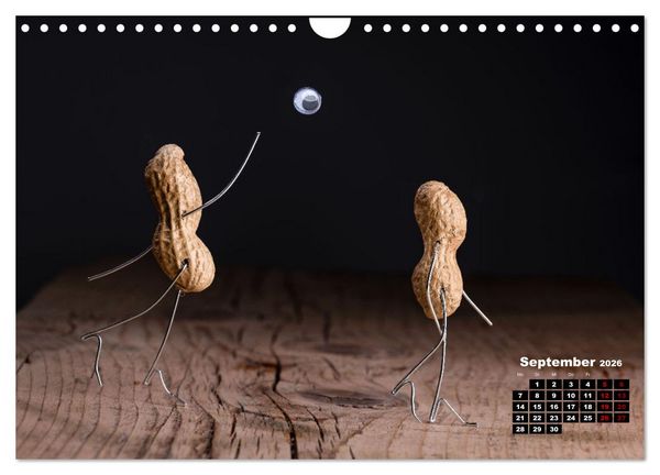 Produktbild: Erdnussm&auml;nnchen Geschichten. (Wandkalender 2026 DIN A4 quer), CALVENDO Monatskalender