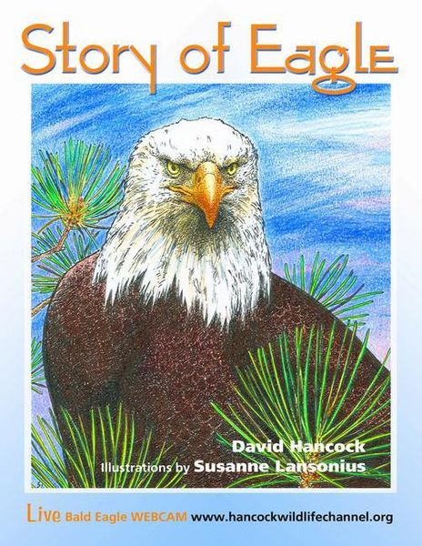 Produktbild: Story of Eagle Activity & Coloring Book