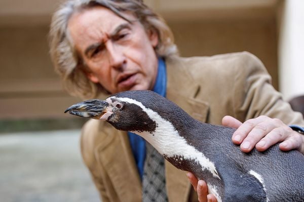 Produktbild: Der Pinguin meines Lebens