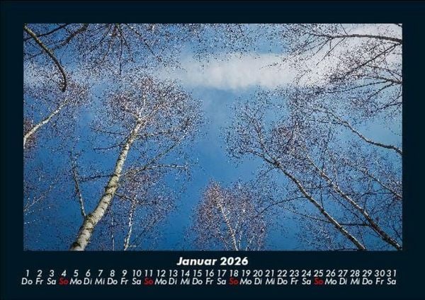 Produktbild: B&auml;ume 2026 Fotokalender DIN A5