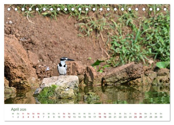 Produktbild: Tierwelten UGANDA (Tischkalender 2026 DIN A5 quer), CALVENDO Monatskalender