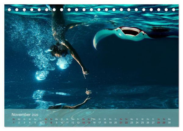 Produktbild: Erlebnis Tauchen - faszinierende Unterwasserwelt (Tischkalender 2026 DIN A5 quer), CALVENDO Monatskalender