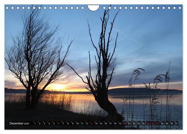Produktbild: Zauberhafter Bodensee (Wandkalender 2026 DIN A4 quer), CALVENDO Monatskalender