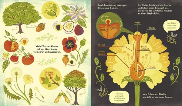 Produktbild: Das Wunder einer Blume - Warum Blumen und Pflanzen so wichtig sind