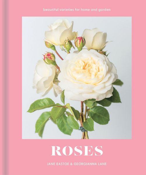 Produktbild: Roses