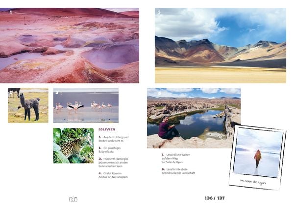 Produktbild: Midlife Reise