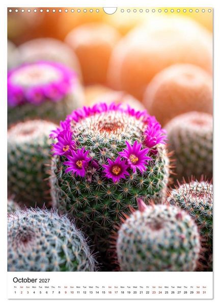 Produktbild: Beautiful Spiky Balls (Wall Calendar 2027 DIN A3 portrait), CALVENDO 12 Month Wall Calendar