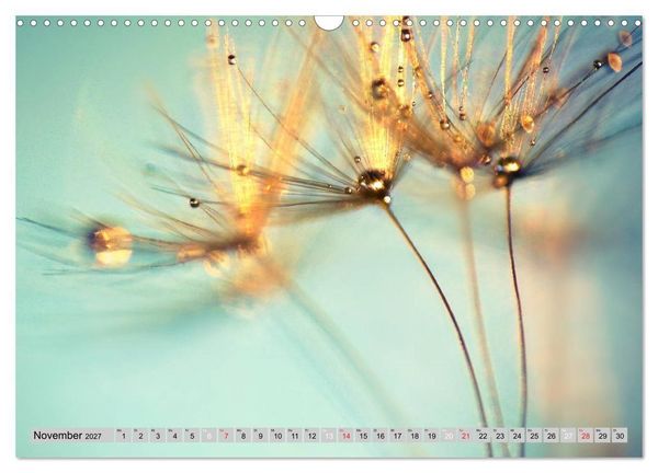 Produktbild: PusteblumenZauber (Wandkalender 2027 DIN A3 quer), CALVENDO Monatskalender