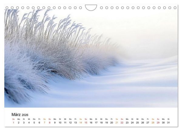 Produktbild: Winterzauber - Nordwind und Schneegest&ouml;ber (Wandkalender 2026 DIN A4 quer), CALVENDO Monatskalender