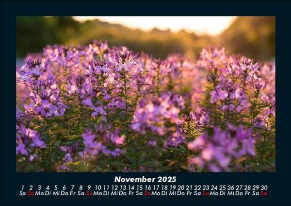 Produktbild: Blumentr&auml;ume 2025 Fotokalender DIN A5