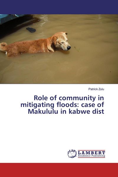 Produktbild: Role of community in mitigating floods: case of Makululu in kabwe dist