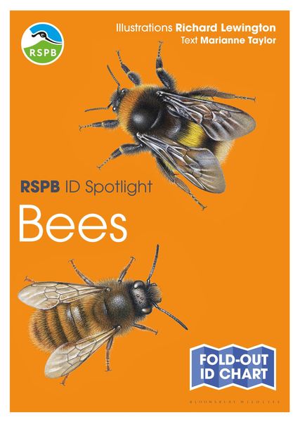 Produktbild: RSPB ID Spotlight - Bees