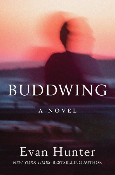 Produktbild: Buddwing