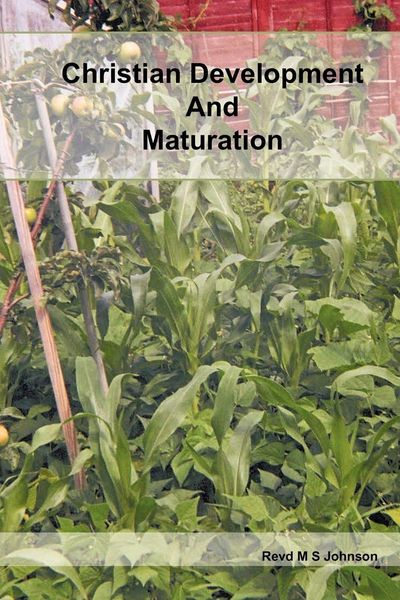 Produktbild: Christian Development and Maturation