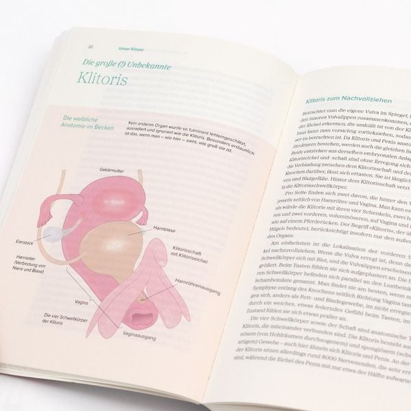 Produktbild: Das gro&szlig;e Gynbuch