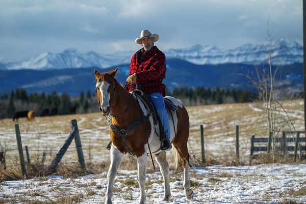 Produktbild: Heartland - Paradies f&uuml;r Pferde, Staffel 8 (Neuauflage) [6 DVDs]