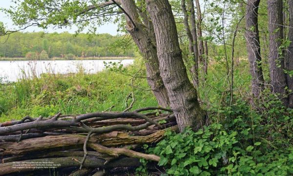 Produktbild: Wild Places Deutschland