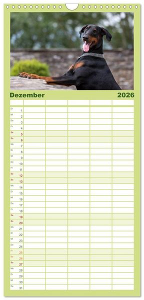 Produktbild: Familienplaner 2026 - Dobermann mit 5 Spalten (Wandkalender, 21 x 45 cm) CALVENDO