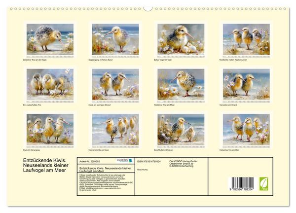Produktbild: Entz&uuml;ckende Kiwis. Neuseelands kleiner Laufvogel am Meer (hochwertiger Premium Wandkalender 2027 DIN A2 quer), Kunstdruck in Hochglanz