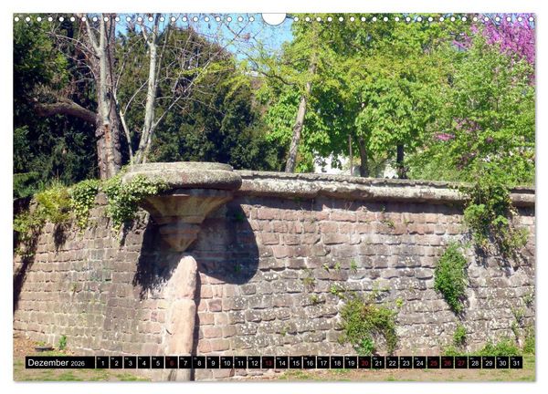 Produktbild: Gr&uuml;nes Mannheim (Wandkalender 2026 DIN A3 quer), CALVENDO Monatskalender
