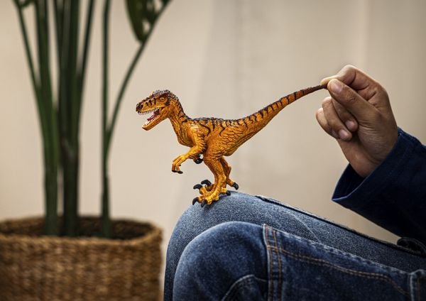 Produktbild: schleich&reg; Dinosaurs Velociraptor