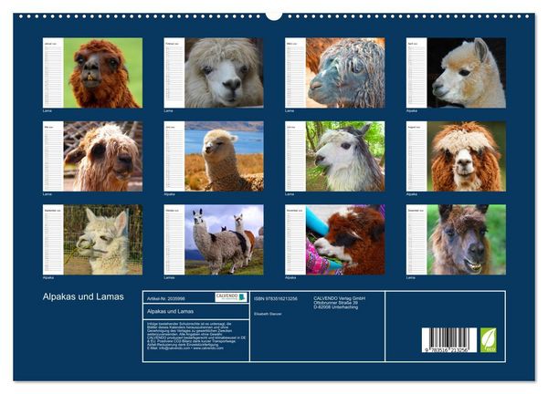 Produktbild: Alpakas und Lamas (hochwertiger Premium Wandkalender 2026 DIN A2 quer), Kunstdruck in Hochglanz