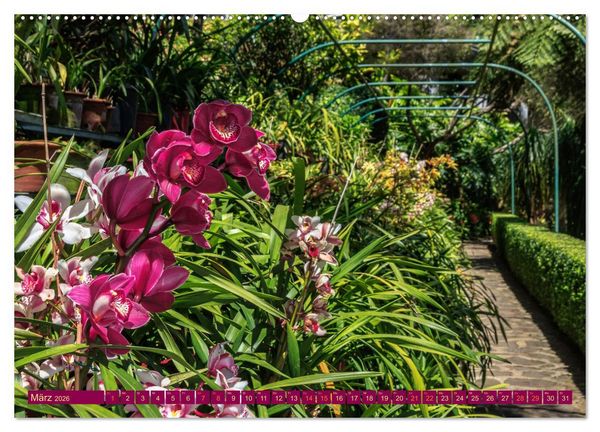 Produktbild: Madeira - Fr&uuml;hlingsinsel im Atlantik (hochwertiger Premium Wandkalender 2026 DIN A2 quer), Kunstdruck in Hochglanz