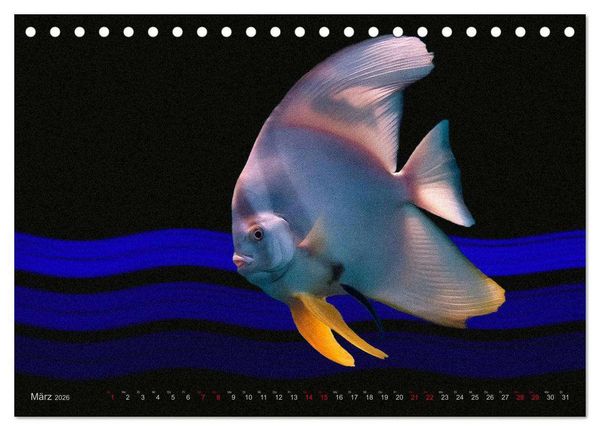 Produktbild: Artwork Unterwasser - Erlebnis Tauchen (Tischkalender 2026 DIN A5 quer), CALVENDO Monatskalender