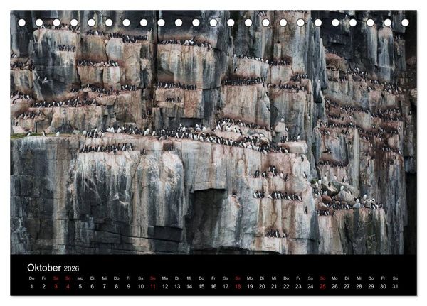 Produktbild: TRAUMZIEL ARKTIS, Impressionen vom Rand der Welt (Tischkalender 2026 DIN A5 quer), CALVENDO Monatskalender