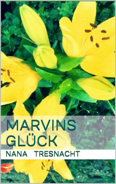 Produktbild: Marvins Gl&uuml;ck