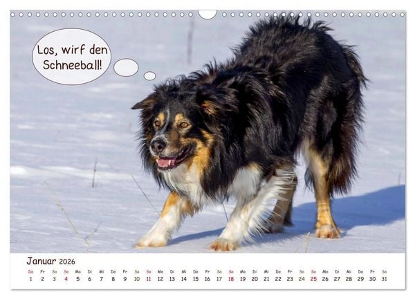 Produktbild: Frei Schnauze 2026. Was Hunde am liebsten sagen w&uuml;rden (Wandkalender 2026 DIN A3 quer), CALVENDO Monatskalender