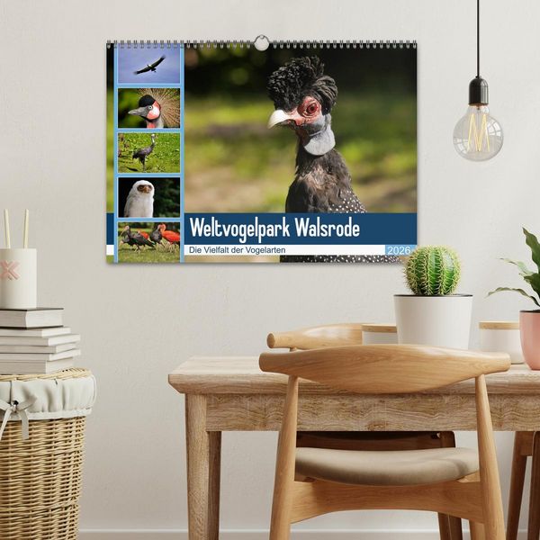 Produktbild: Weltvogelpark Walsrode - Die Vielfalt der Vogelarten (Wandkalender 2026 DIN A3 quer), CALVENDO Monatskalender