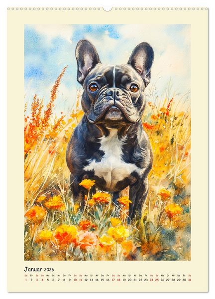 Produktbild: Charmante Bulldoggen. Franz&ouml;sische Lebensfreude auf vier Pfoten (Wandkalender 2026 DIN A2 hoch), CALVENDO Monatskalender