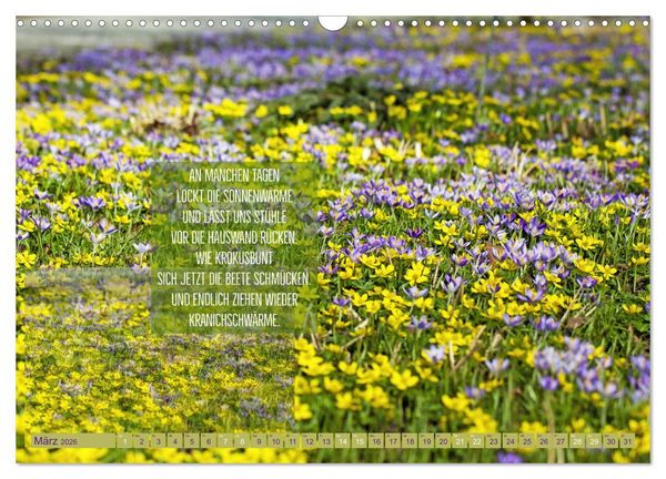 Produktbild: Stimmungsreigen Gef&uuml;hlvolle Texte und Bilder (Wandkalender 2026 DIN A3 quer), CALVENDO Monatskalender