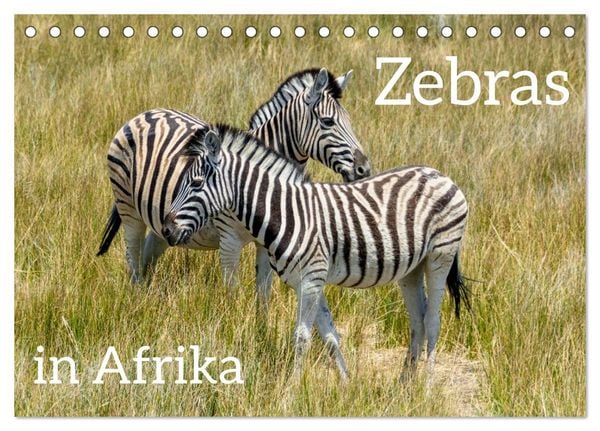 Produktbild: Zebras in Afrika (Tischkalender 2026 DIN A5 quer), CALVENDO Monatskalender