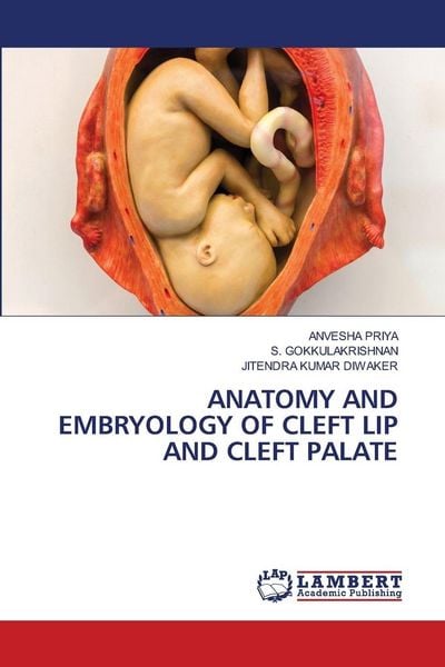 Produktbild: Anatomy and Embryology Of Cleft Lip and Cleft Palate