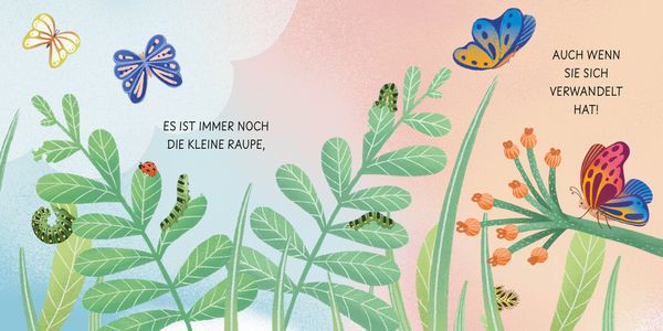 Produktbild: Geburt eines Schmetterlings