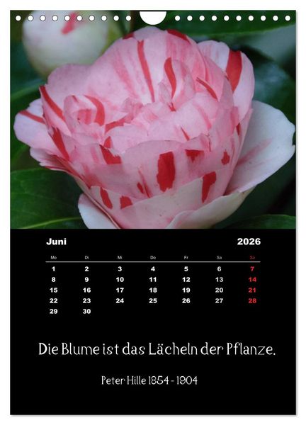 Produktbild: Spr&uuml;che und Zitate ber&uuml;hmter Personen &uuml;ber Blumen und Natur (Wandkalender 2026 DIN A4 hoch), CALVENDO Monatskalender
