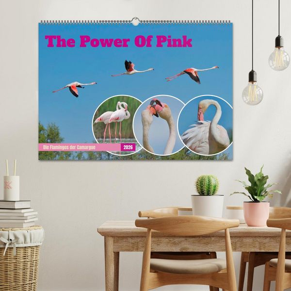 Produktbild: The Power Of Pink (Wandkalender 2026 DIN A2 quer), CALVENDO Monatskalender