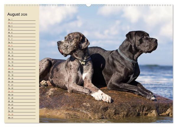 Produktbild: Beste Freunde. Bezaubernde Tierfreundschaften (hochwertiger Premium Wandkalender 2026 DIN A2 quer), Kunstdruck in Hochglanz