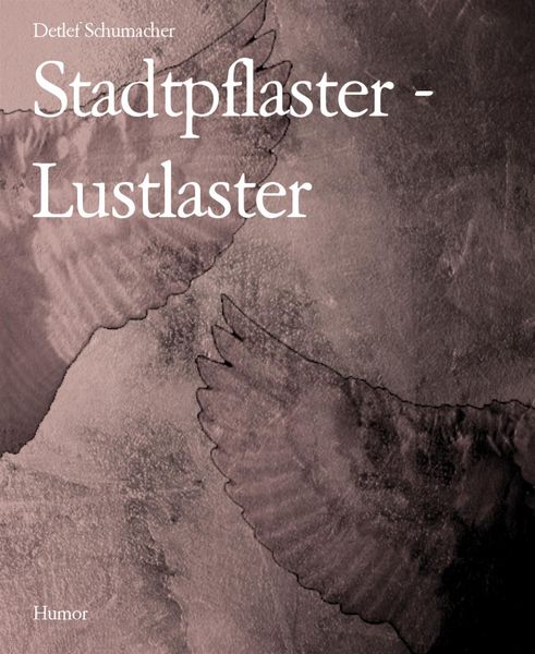 Produktbild: Stadtpflaster - Lustlaster