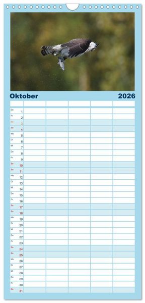 Produktbild: Familienplaner 2026 - Fischadler - Meister des Sturzfluges mit 5 Spalten (Wandkalender, 21 x 45 cm) CALVENDO