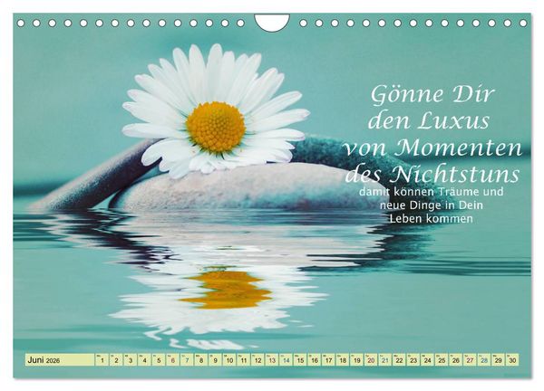 Produktbild: Spruchkalender - schau rein (Wandkalender 2026 DIN A4 quer), CALVENDO Monatskalender