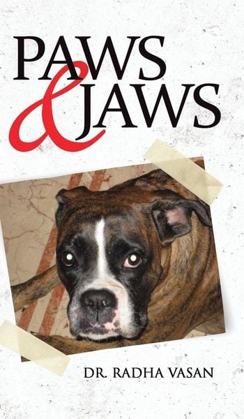 Produktbild: Paws & Jaws