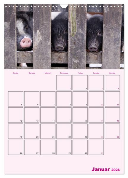 Produktbild: Schweinischer Terminplaner (Wandkalender 2026 DIN A3 hoch), CALVENDO Monatskalender