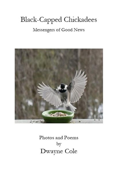 Produktbild: Black-Capped Chickadees